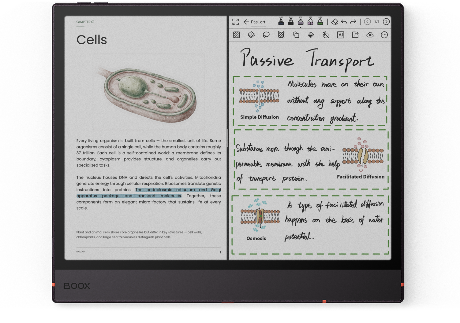 Split-screen reading and handwritten notes on BOOX Note Air6 C